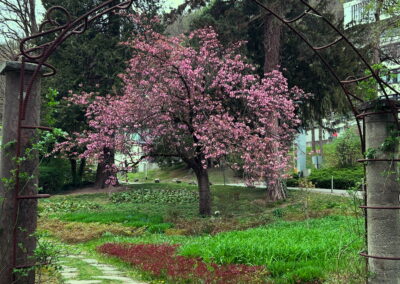 Villa Blanka Garten