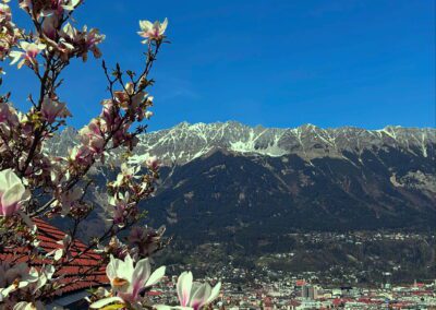 Panorama ab Berg Isel über Innsbruck