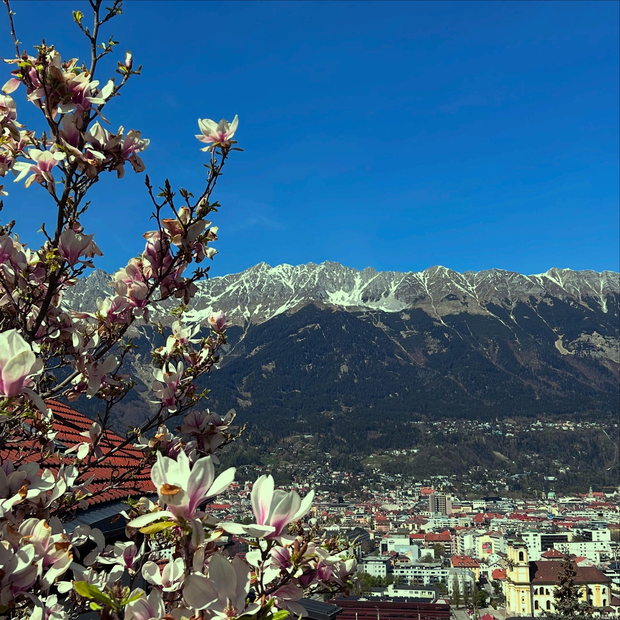 Panorama ab Berg Isel über Innsbruck