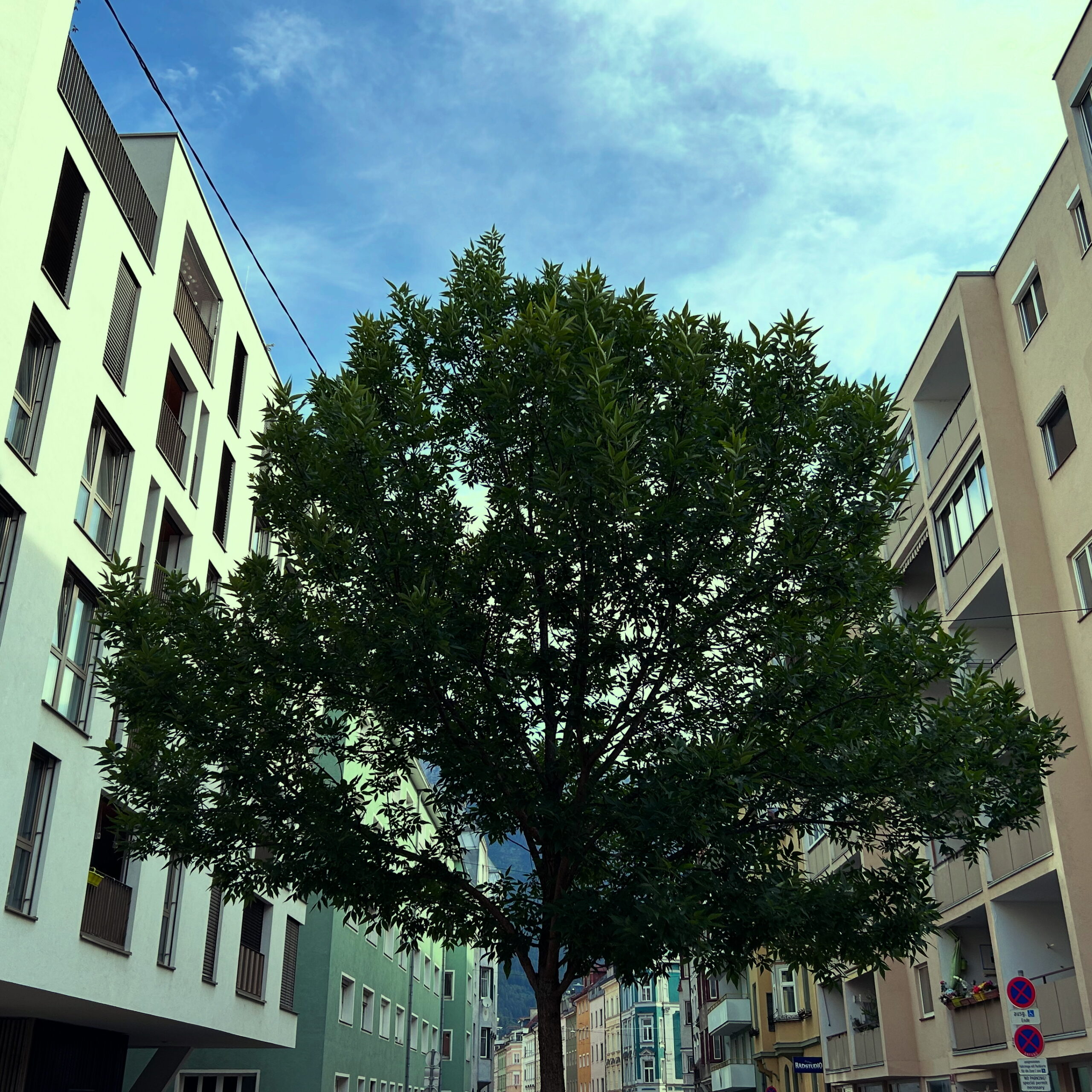 Zollerstraße