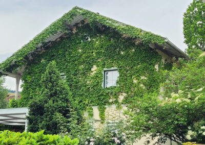 Efeuhaus Pradl