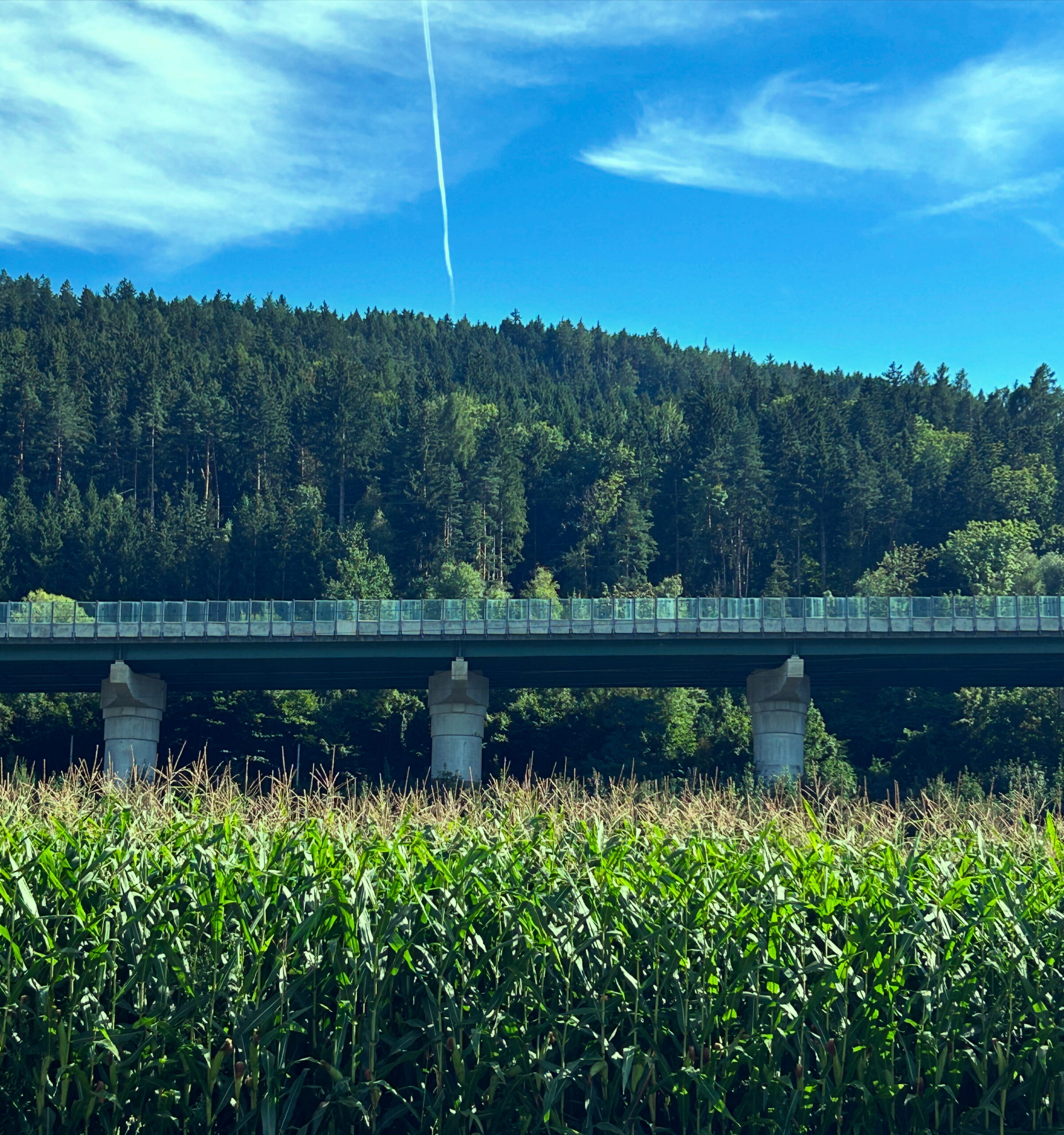 Mais und Autobahn Tivoli