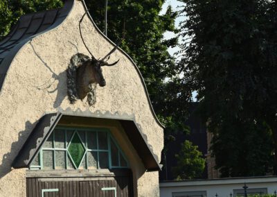 Hirschgeweih auf Akzise im Saggen