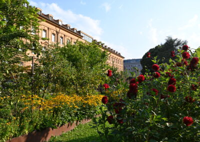 Garten Kaiser-Franz-Joseph Greisenasyl Wohnheim Saggen