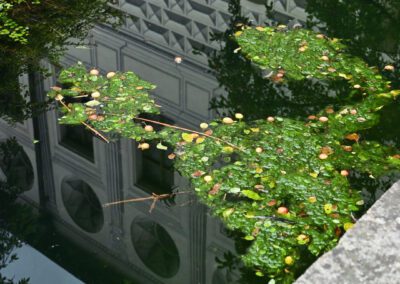 Spiegelung Teich Schloss Ambras