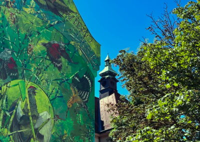 Graffiti Vögel Maximilianstraße