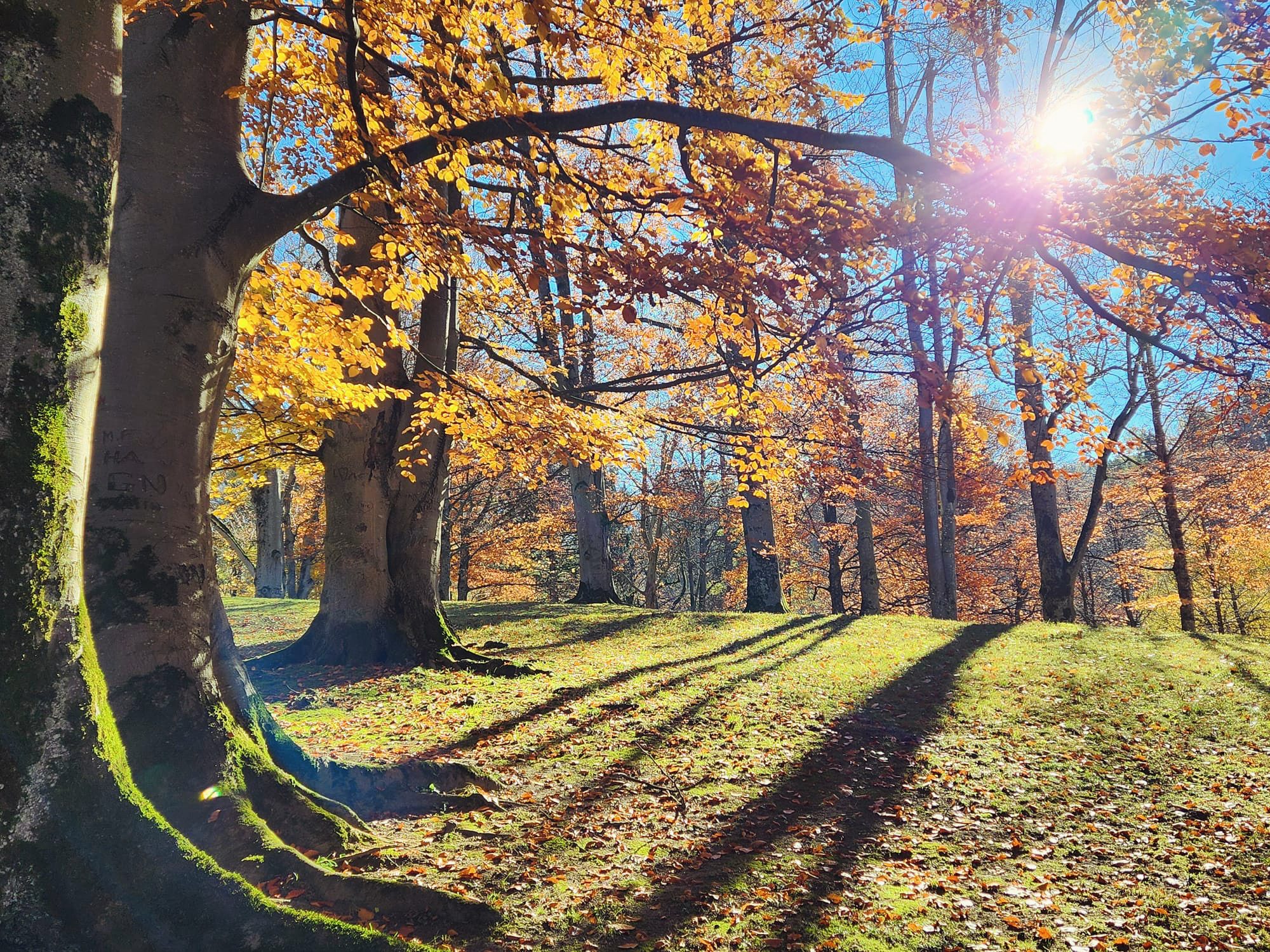 Schlosspark Ambras Schlosspark Ambras