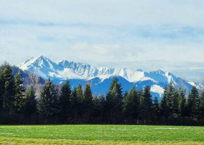 Wiesengasse mit Rosskogel im Hintergrund