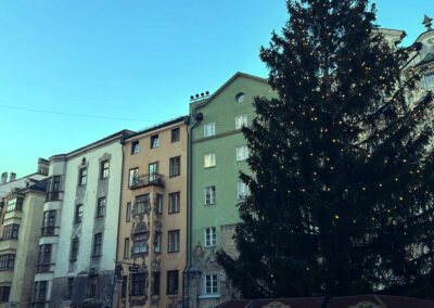 Weihnachtsbaum vor dem Goldenen Dachl
