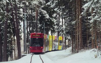 Straßenbahn Linie 6