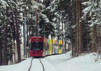 Linie 6 im verschneiten Wald