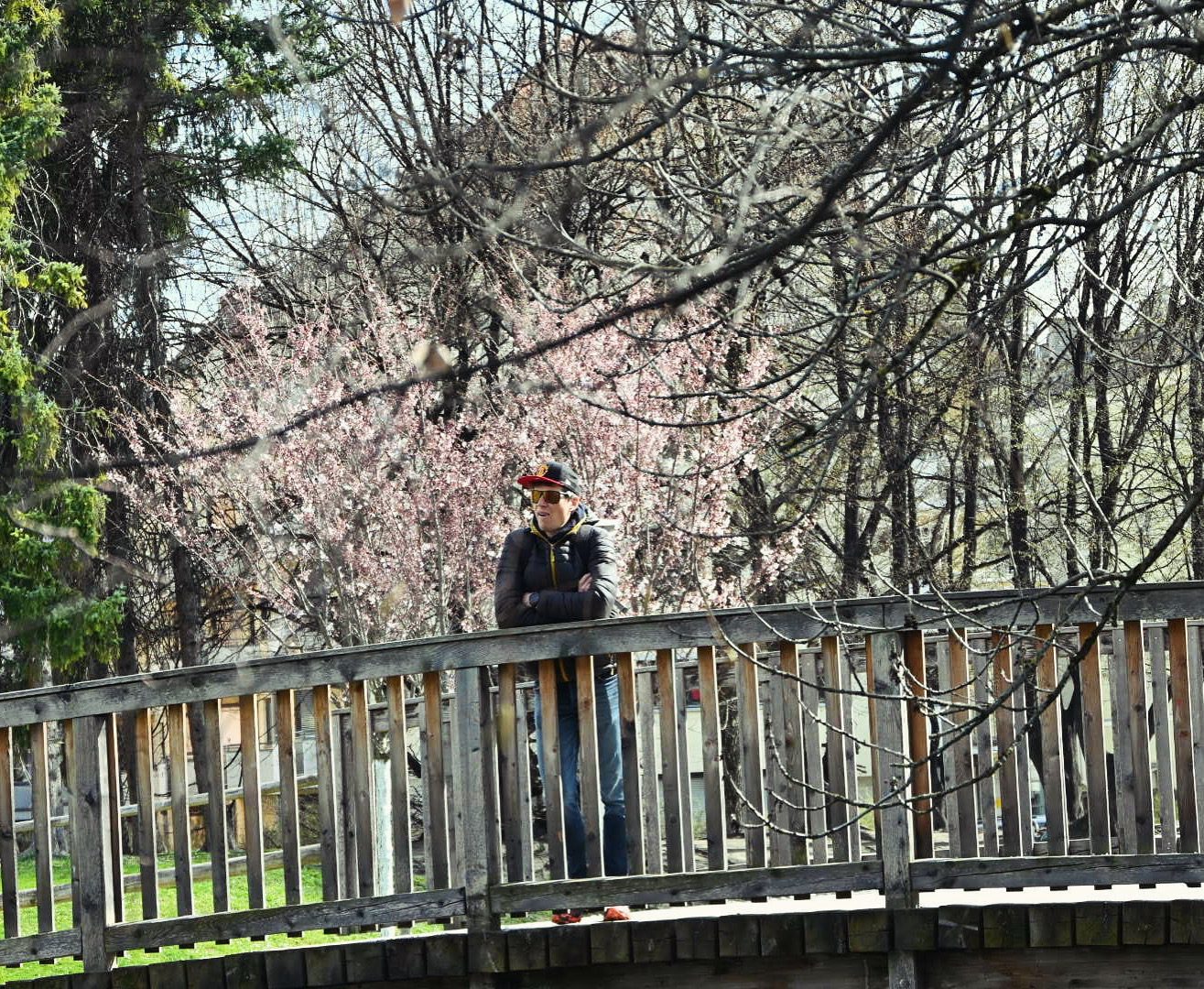Brücke Rapoldipark Brücke Rapoldipark