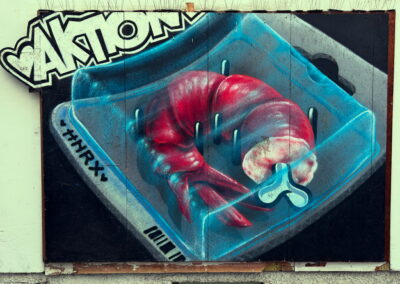 Graffiti HNRX