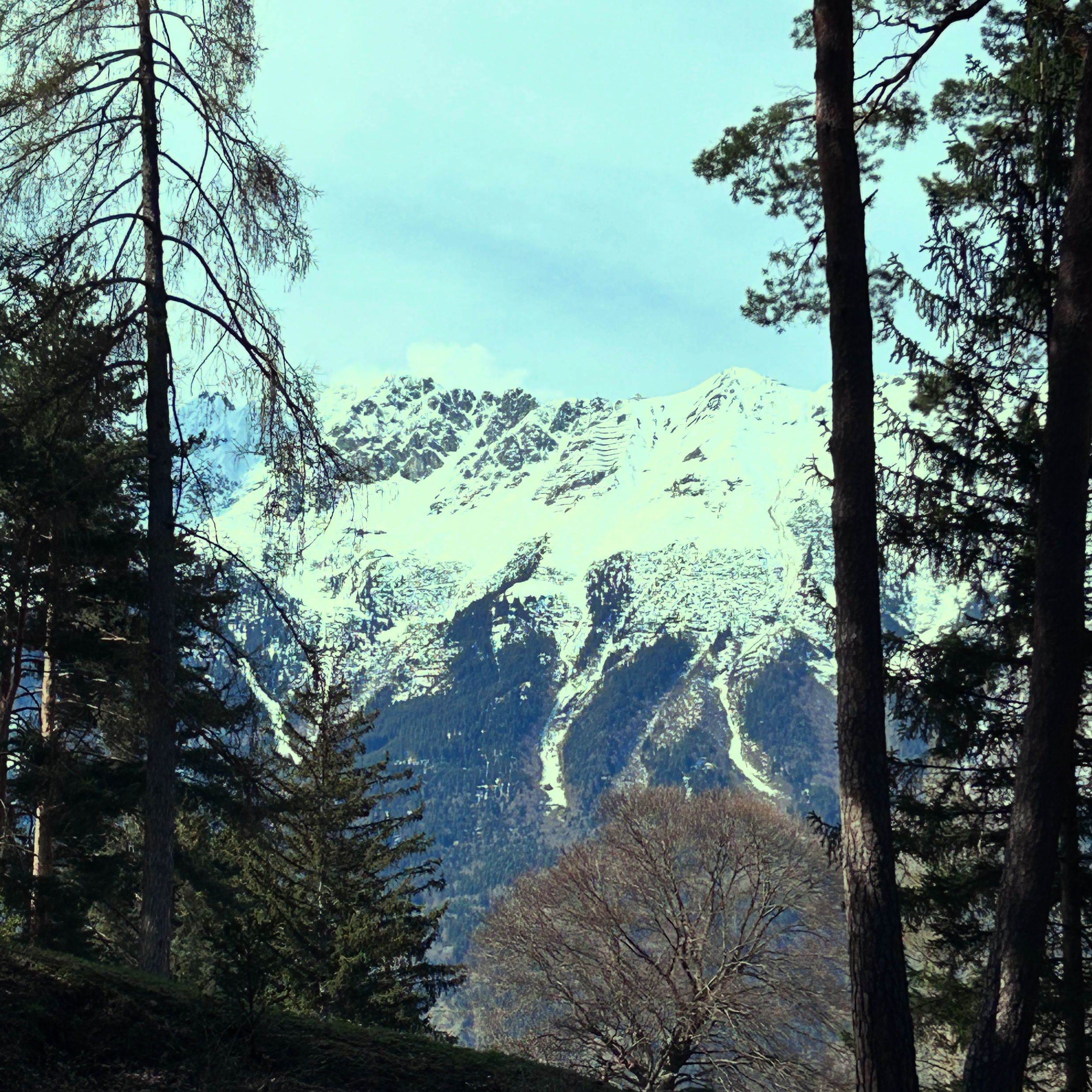 Frühling Schloss Ambras Nordkette Frühling Schloss Ambras Nordkette