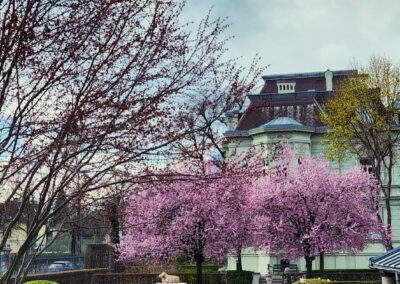 Villa Saggen mit Blumen im Frühling