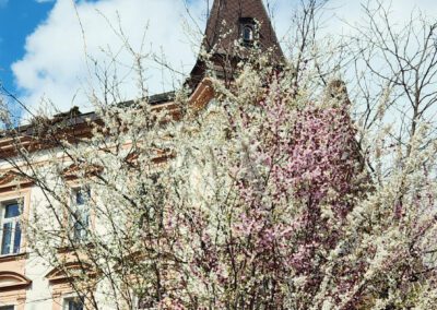 Villa im Saggen mit Garten im Frühling