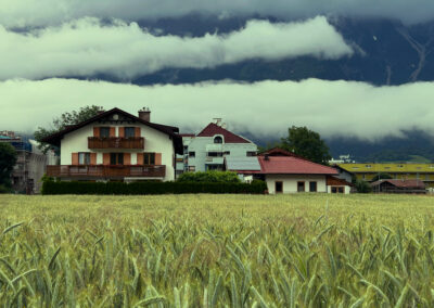 Kornfeld Amras mit Nordkette