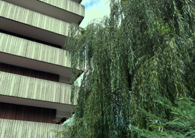 Mariahilfpark mit Baum