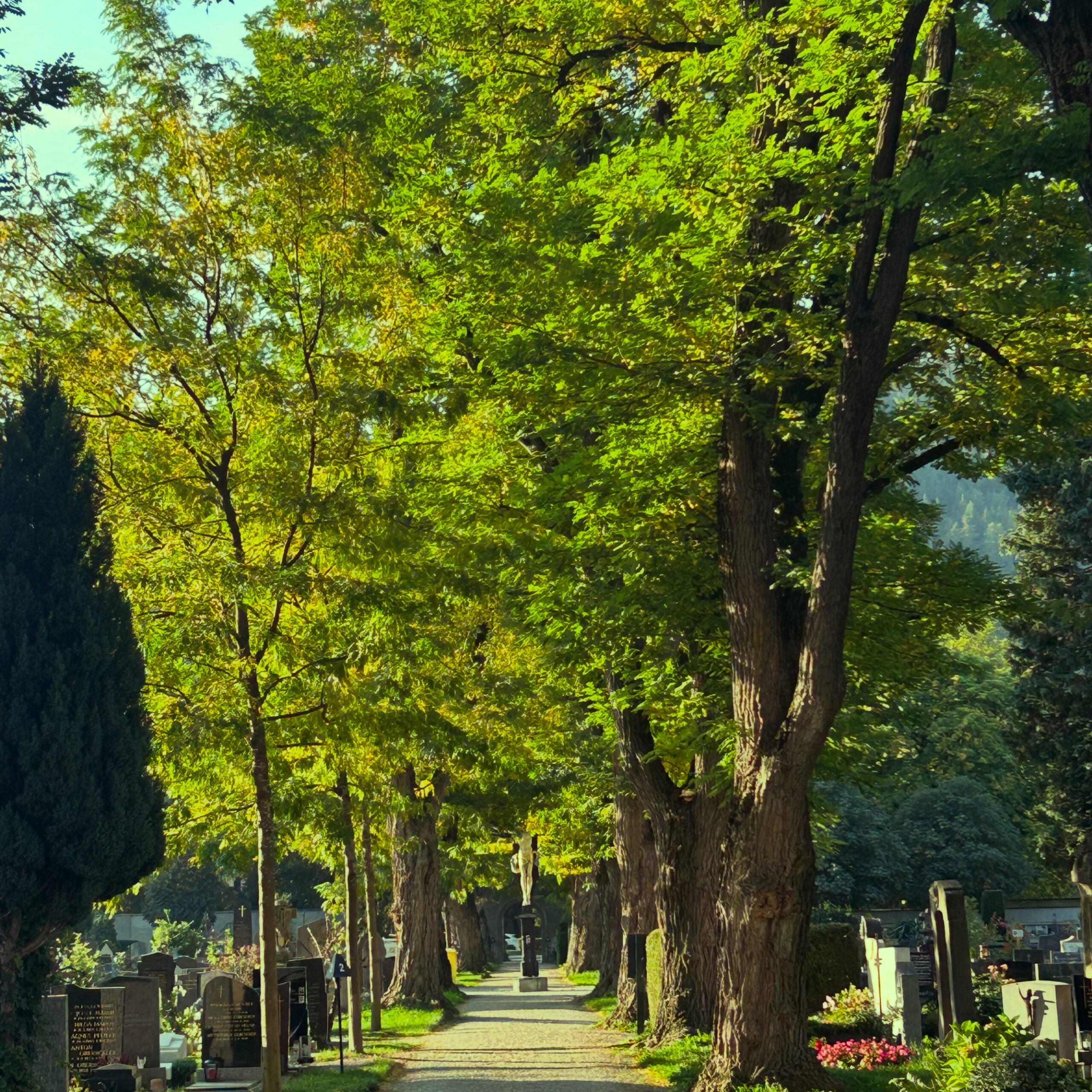 Hauptweg Westfriedhof Wilten Hauptweg Westfriedhof Wilten